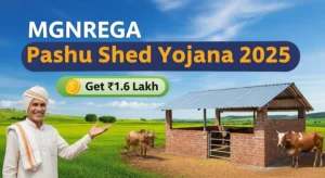 Read more about the article MGNREGA Pashu Shed Yojana 2025: अब सरकार दे रही ₹1.60 लाख तक की सहायता – जानिए आवेदन प्रक्रिया और पात्रता