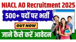 Read more about the article NIACL AO भर्ती 2025: 550 पदों पर वैकेंसी, ऑनलाइन आवेदन शुरू – जानें पूरी जानकारी!